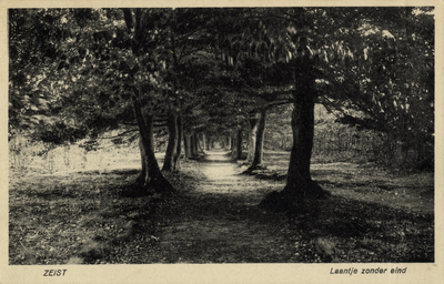 16271 Gezicht in het Laantje zonder eind met loofbomen te Zeist uit het zuidwesten.